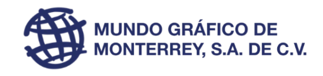 desarrollador web mexico