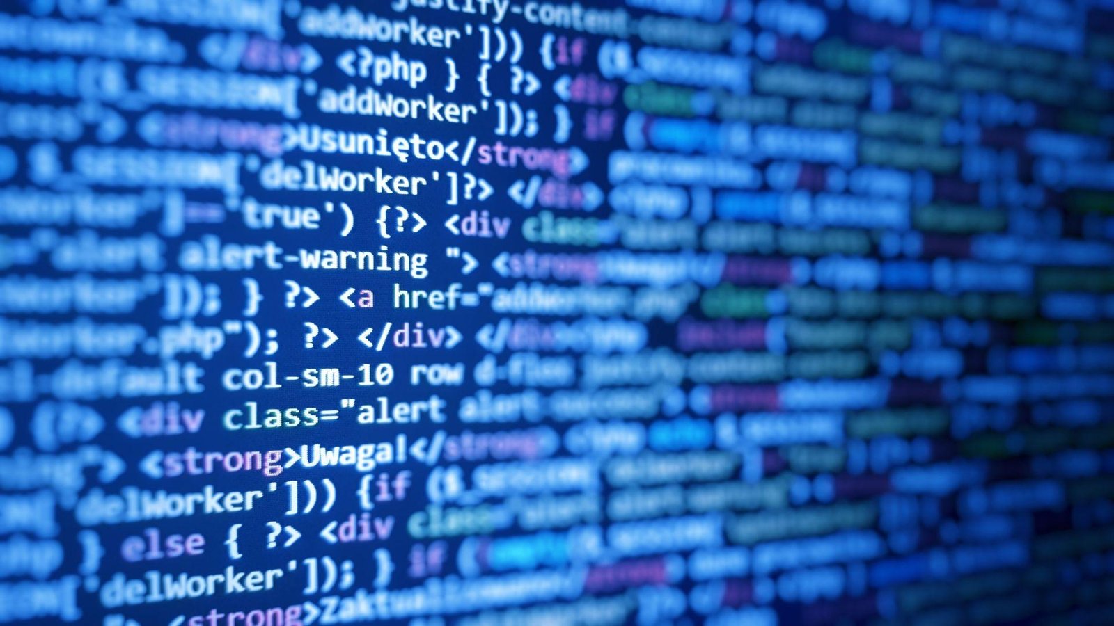 desarrollo web